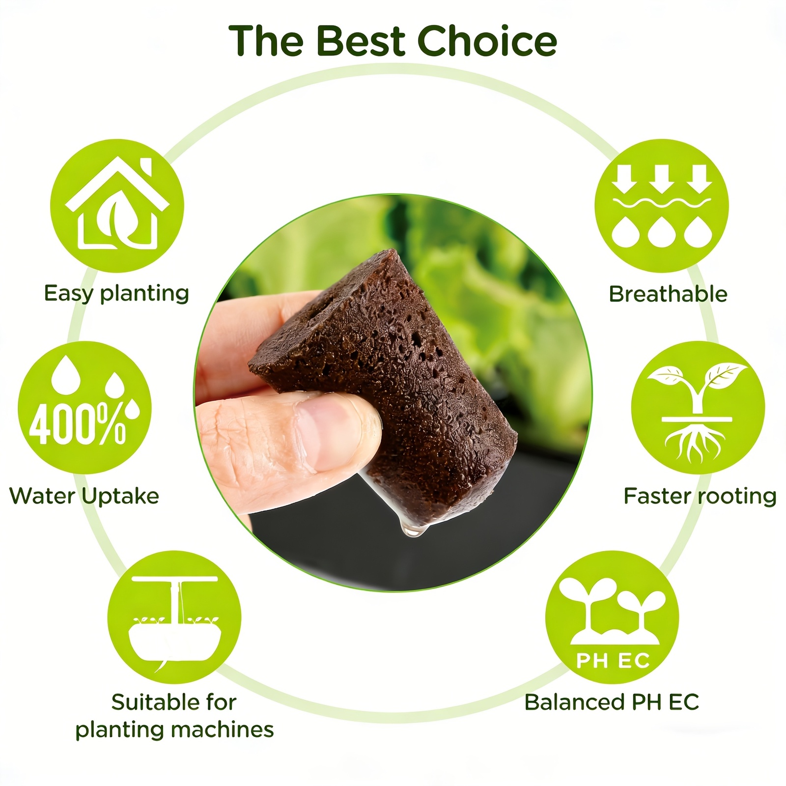 ฟองน้ำปลูกต้นไม้แบบครอบคลุมพื้ - Eco Sponge บทวิจารณ์และราคา
